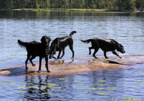 Nuoriso pikkuluodolla